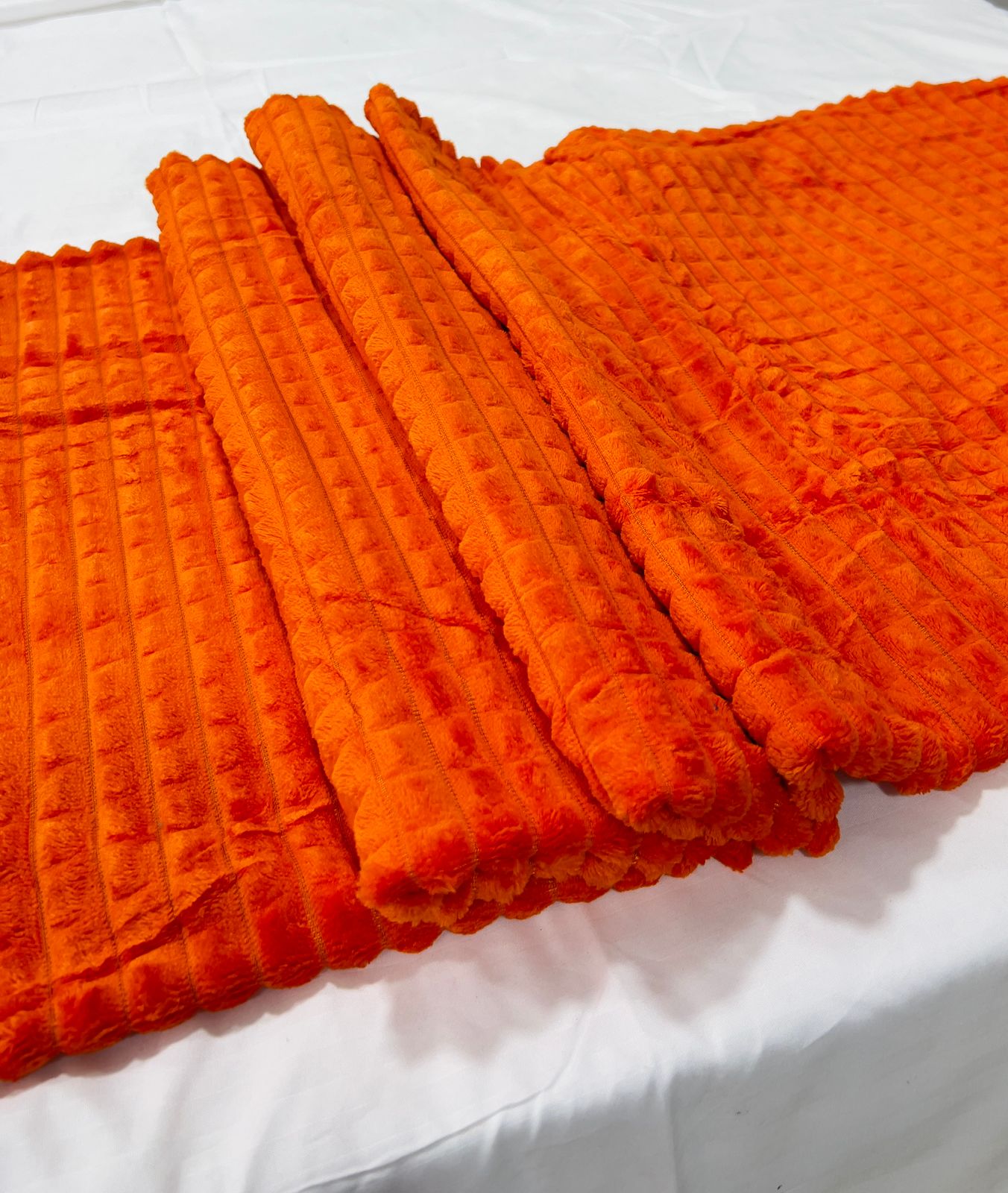 WhatsApp Image 2025-01-09 at 1.45.01 PM (2)